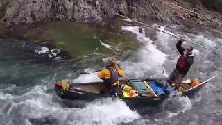 Bonaventure River Canoe Trip