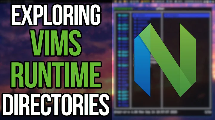 Exploring The Magic Of The Vim Runtime Directories