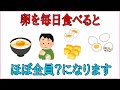 誰かに教えたくなる健康雑学【卵を毎日食べるとおこるヤバい変化とは...】--- 興味深い事実