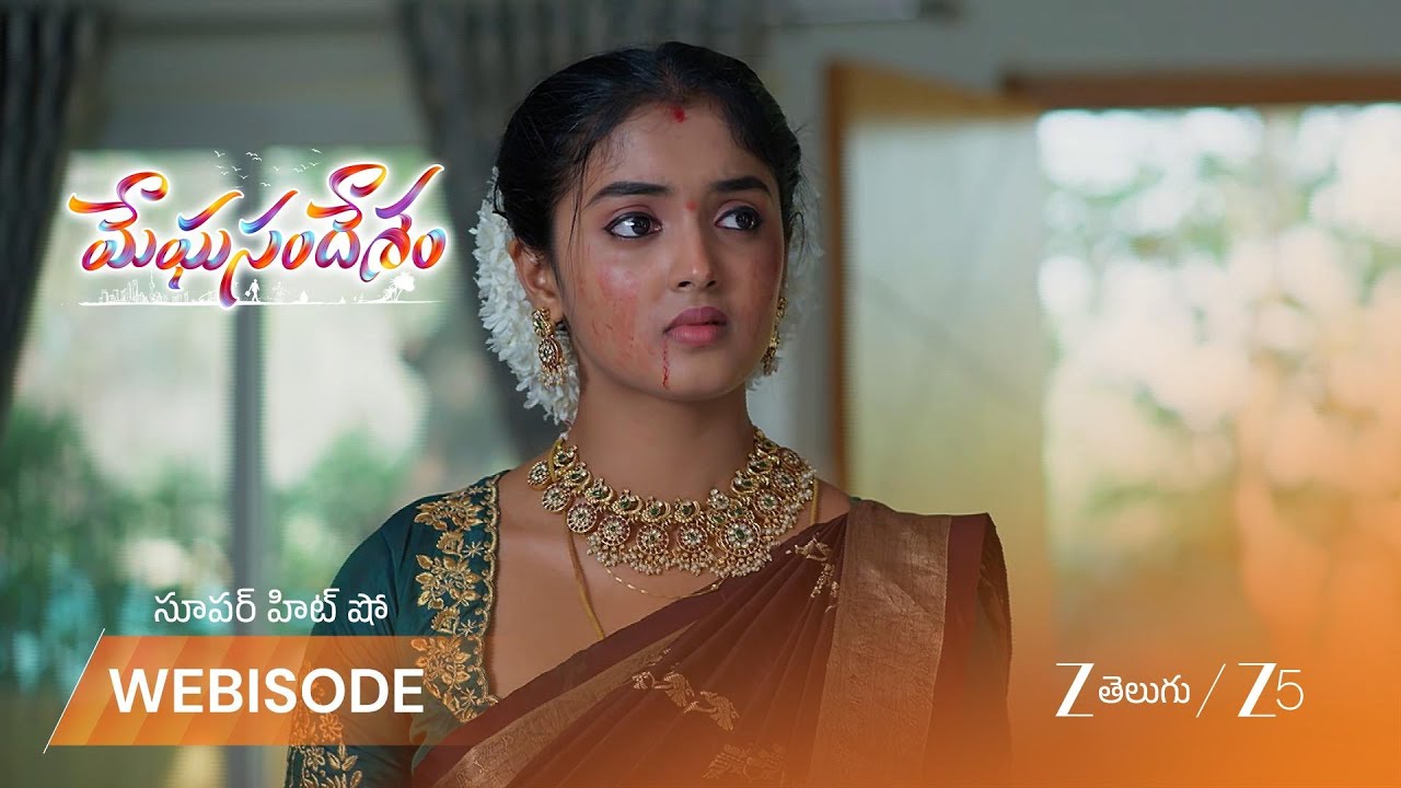 MEGHASANDESAM | భూమి కి ప్రాణాపాయం ఉందని చరణ్ తో చెప్పిన గగన్