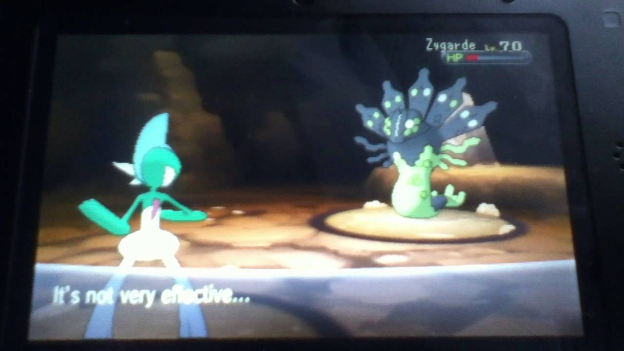 VS Zygarde 