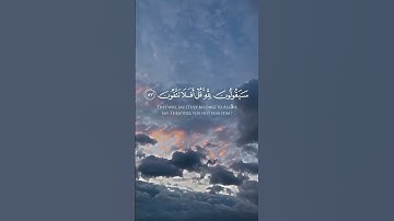 سورة المؤمنون  الشيخ /ياسر الدوسري