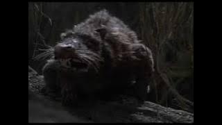 The Princess Bride -RODENTS OF UNUSUAL SIZE (ROUS)