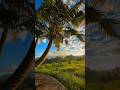 Earth Beauty #nature #planetearth #worldnature #earth #viralvideo #goviral