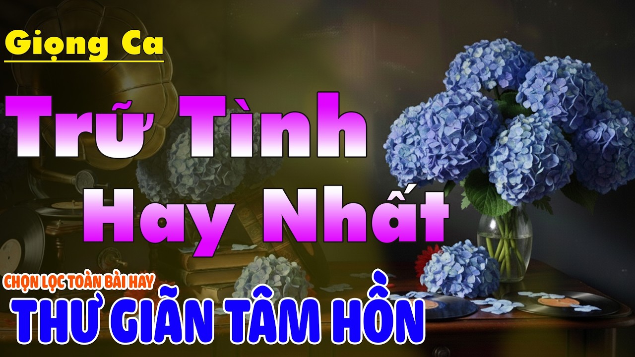LK Nhạc BOLERO Trữ Tình Hay Nhất Hiện Nay Êm Tai Dễ Ngủ | Nhạc Vàng Xưa Chọn Lọc Đặc Biệt Hay  2026