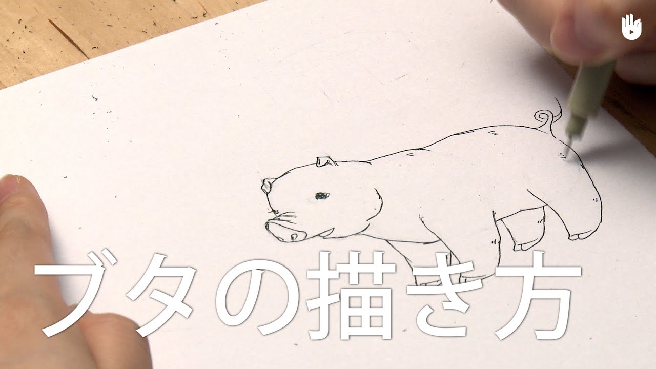 ブタの描き方 Youtube