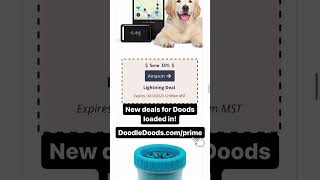 Amazon Prime Day 2.0 is here! Check out these deals for Doods! DoodleDoods.com/prime #amazonprime