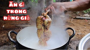 Sang Vlog- Cháo Trứng Cá | 5 Ngày Săn Cá Giữa Rừng Già ( phần 4 )
