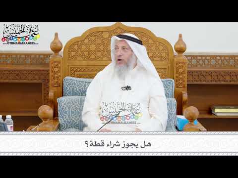 405 هل يجوز شراء قطة عثمان الخميس