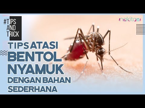 Video: Gigitan Nyamuk - Bengkak, Bercak, Alergi Dan Gatal Akibat Gigitan Nyamuk, Bagaimana Cara Mengoleskannya?