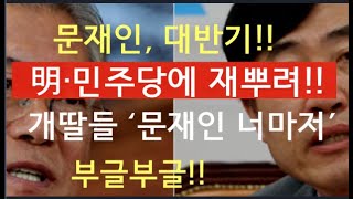 [문틀란 TV]   문재인, 이재명 뒤통수쳤다  민주당 장외집회에 재뿌리는 역효과 개딸들 부글부글