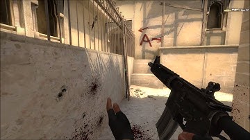 CS:GO - Insane Headshot + 1v5 Ace!