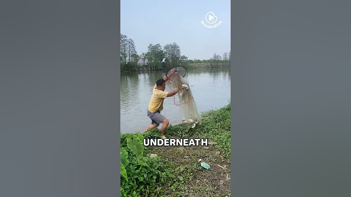 How to Master the Art of Throwing a Cast Net—It’s Harder Than It Looks!