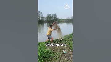 How to Master the Art of Throwing a Cast Net—It’s Harder Than It Looks!