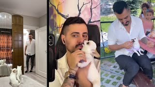 Murat noyan best compilation/Murat noyan dog /Murat noyan dog/Murat noyan puppy by Daily dose of dogs 111,154 views 1 year ago 3 minutes, 8 seconds