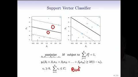 Statistical Learning: 9.2.Support Vector Classifier