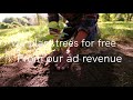 TreeClicks - Plant Trees while Shopping