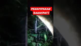 Banaspati Vidio Lengkap Nya Cek Beranda