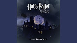 A Window to the Past