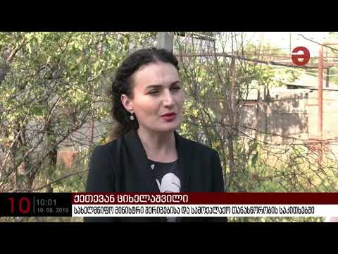 ქეთევან ციხელაშვილი საქართველოს მოქალაქეების გატაცებაზე