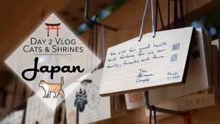 Cat Cafe and MeijiJingu shrine vlog plus UFO catchers in Japan! | Crane Couple in Japan