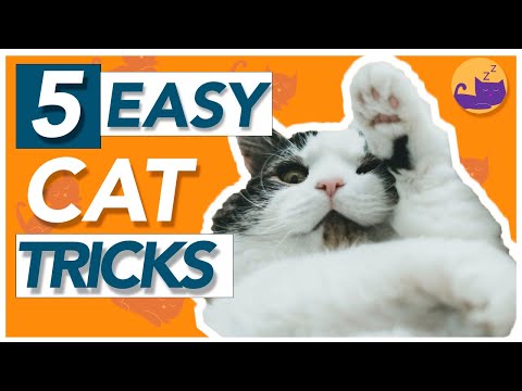 5 EASY Tricks