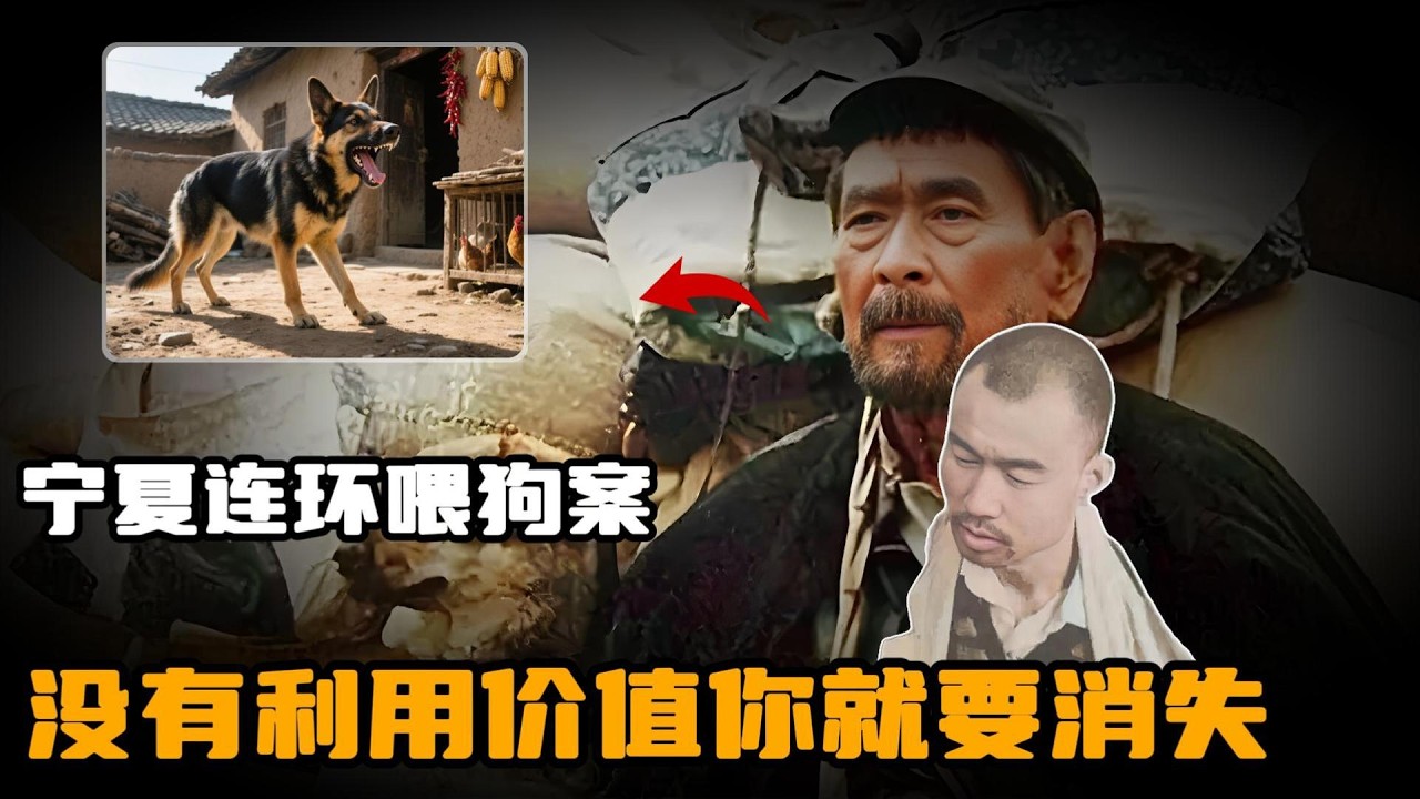 宁夏连环喂狗案-程鹏