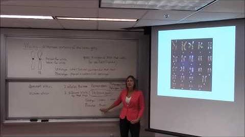 Patterns of Inheritance Part 1