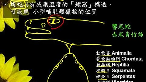10601高一基礎生物1 1 04感應與反應一廉 - 天天要聞