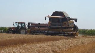 moisson 2015