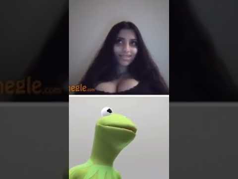 بمبورو الضفدع كيرمت