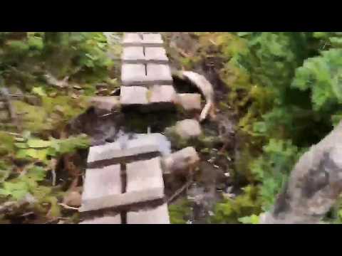 Videó: Fotó Esszé: Banff és Jasper - Matador Network Felé Vezető úton