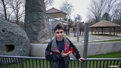 Me at the zoo but it