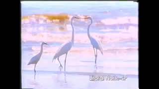 Insucional Da Tv Vanguarda - 2006