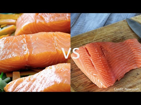 Video: Handige Tips Voor Het Koken Van Vis