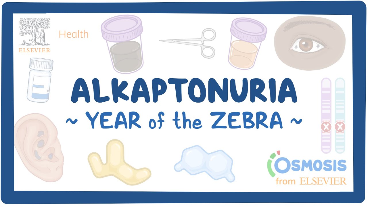Alkaptonuria (Year of the Zebra)