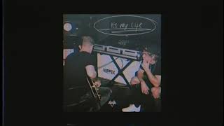 Neffex - It'S My Life (Official Audio)