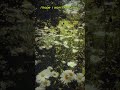 (FREE) Indie x Bedroom Pop Guitar Type Beat "I Hope I Won't Lose You" - Indie Pop Type Beat