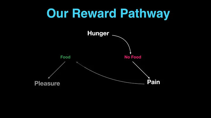 The Science of Heroin-Opioid Addiction for the Layperson: Our Reward Pathway