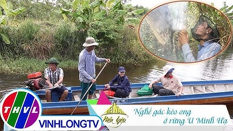 Việt Nam mến yêu - Tập 280: Khám phá nghề gác kèo ong ở rừng U Minh Hạ
