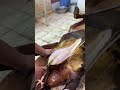 اهم طريقه سلخ عجل البقره بالكامل يبلغ من العمر 21 عام كيفيه استخراج نقش اقوي تخطيط اللحم