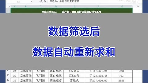 WPS Excel：数据筛选后，数据自动重新求和。#wps #excel #电脑