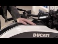 MotoRR || Ducati Diavel