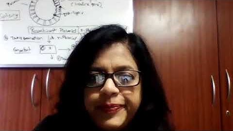 2 PUC - KVPY -2019 - 3/3-  Part  3