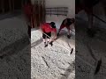 #concrete #building #trending #tips #concretework #victoryoutdoorservices #work #viralvideo