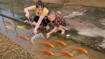Em ổi tìm bắt cá chép vàng lạ mắt trong cái ao nhỏ #cávàng #bắtcávàng #fishing #concá #tìmbắtcávàng