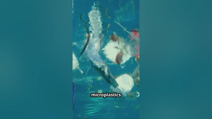 Fast Fashion Exposed: How Your Clothes Are Destroying the Planet!