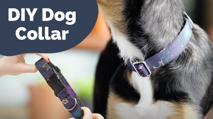 DIY Dog Collar - How to make your own custom dog collars!