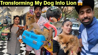 Converting My Dog Into Lion 🤣 - 1 Lakh Ki Summer Shopping 😵‍💫😱