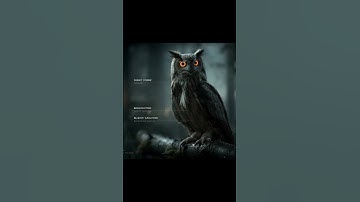 ai video just knowledge